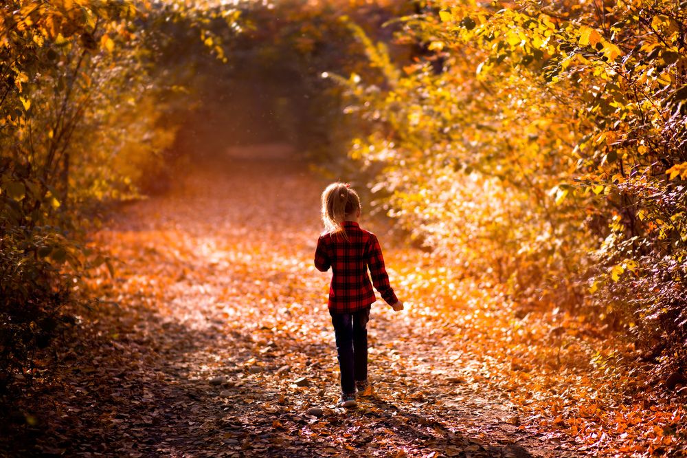 Прогулка по осеннему лесу