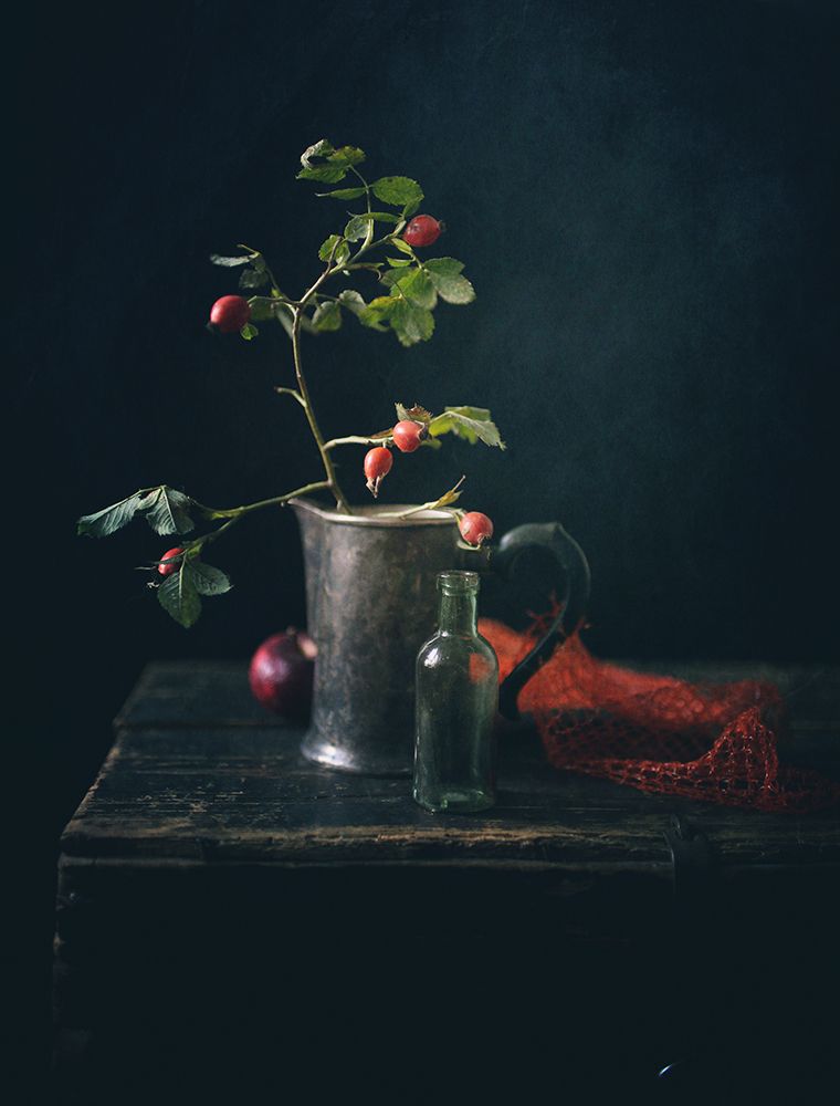 простой натюрморт с шиповником