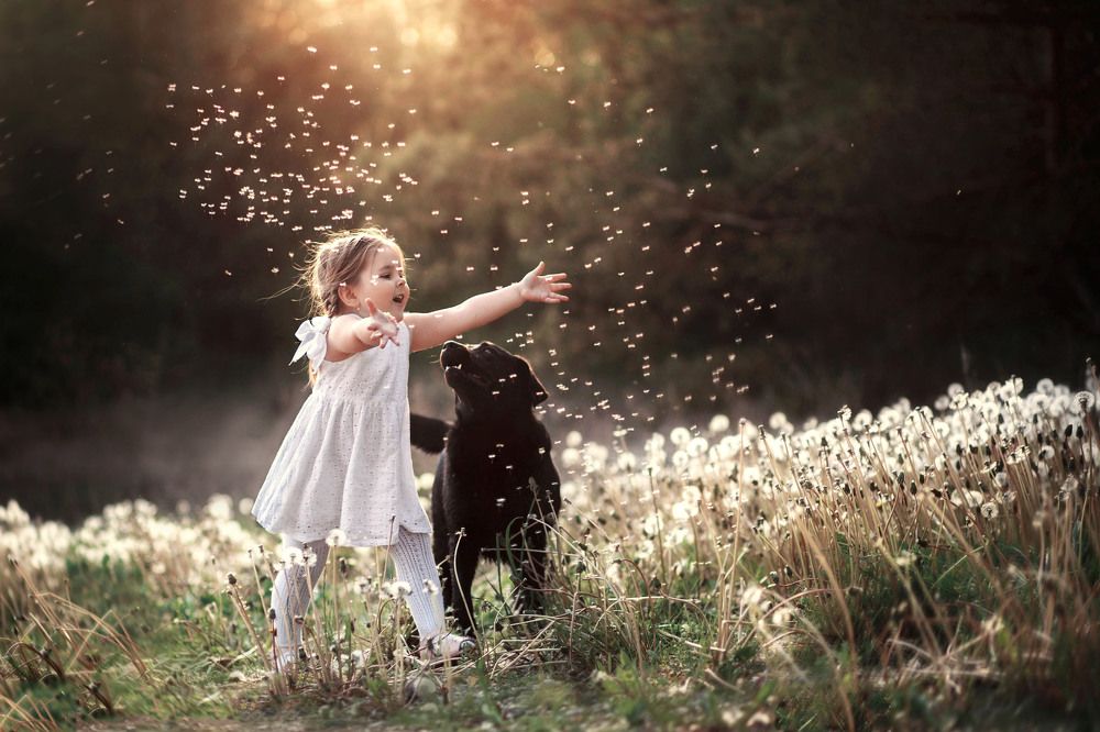 Фотография автора Дарья Буслик