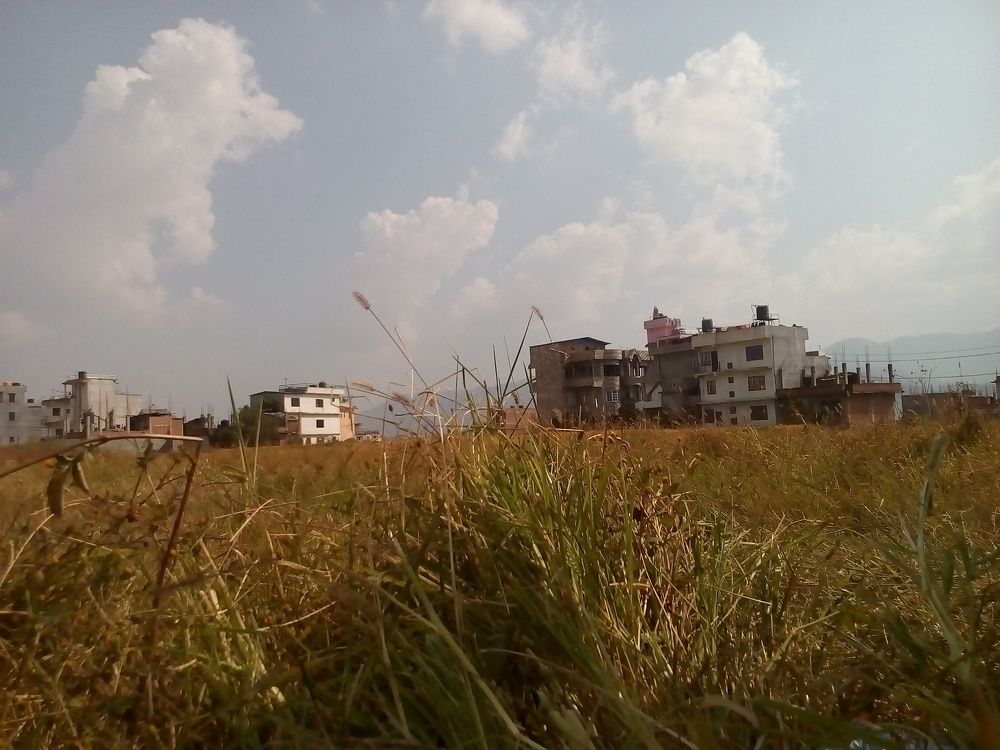 Photo #2734388