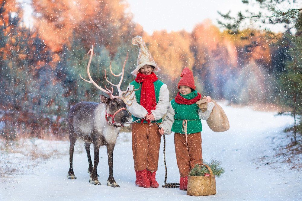 Photograph by Elena Selyutina