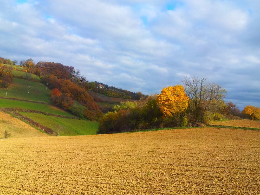 golden land of Serbia