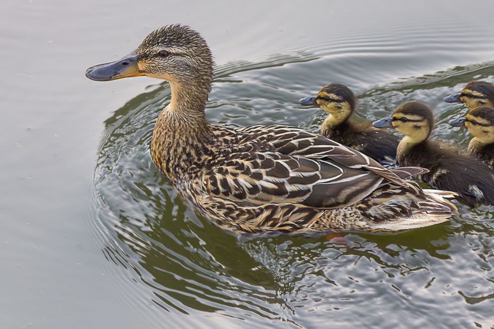 Photograph by Александр Кузнецов