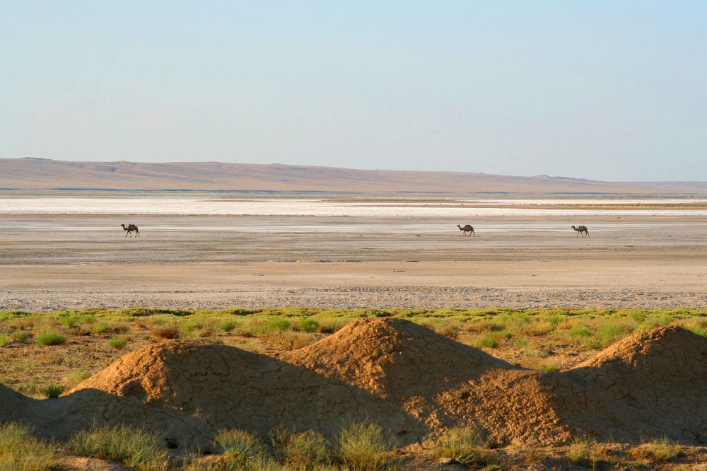 Миражи пустыни. Казахстан.