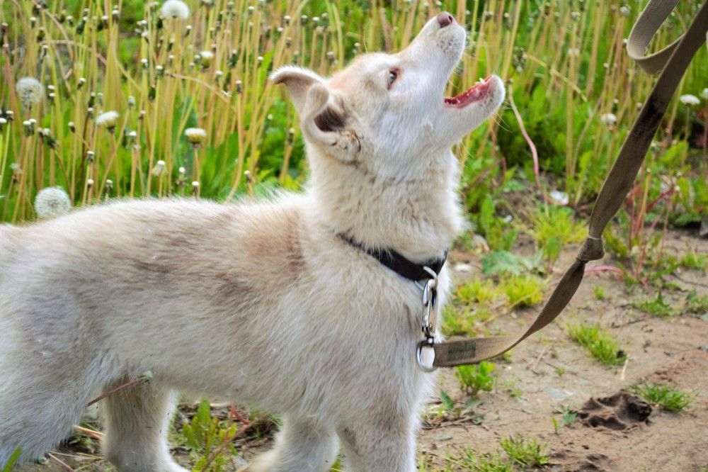 Photograph by Герасимова Дарья