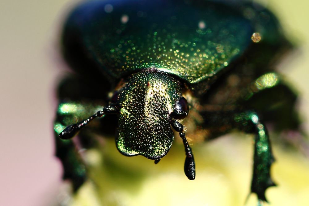 Не зли меня, фотограф...