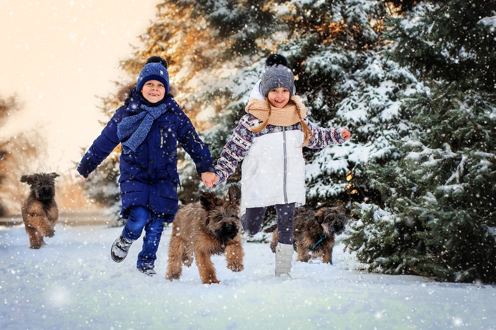 Первый снег