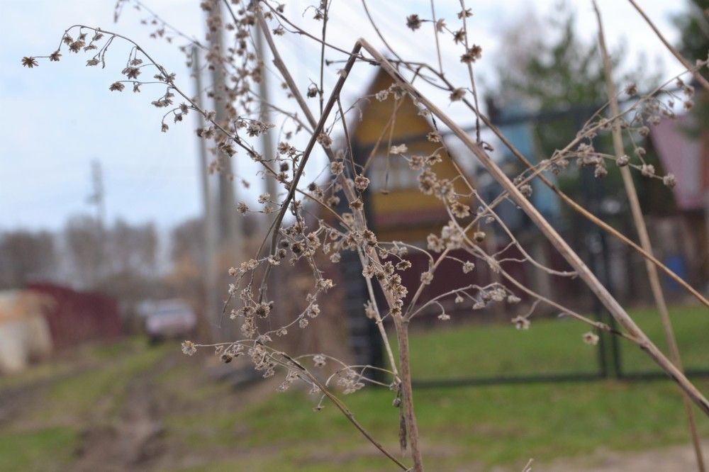 Домик в саду