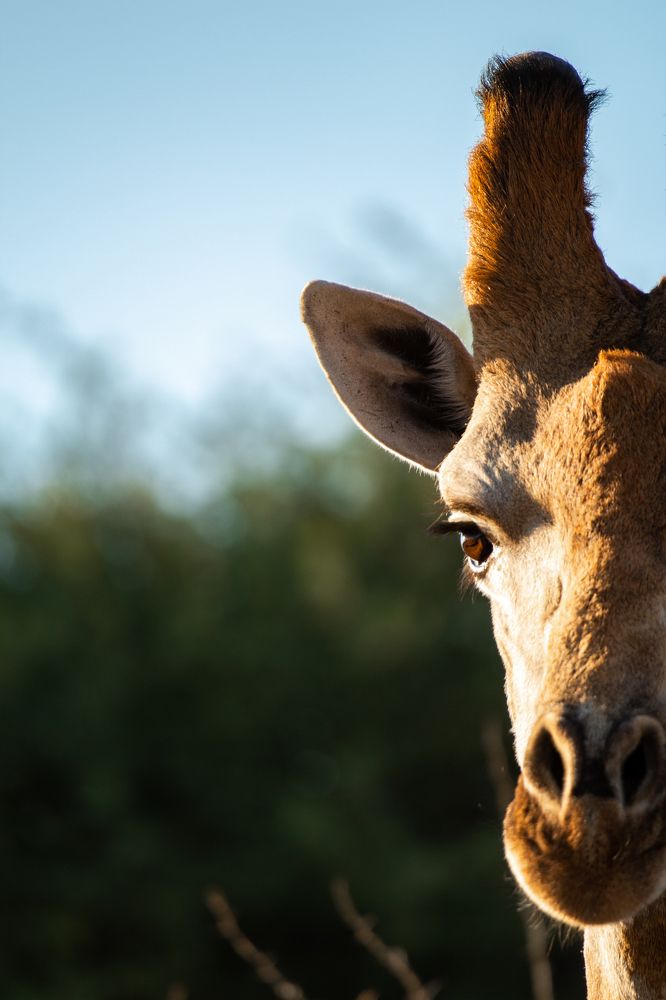 Half of the full picture