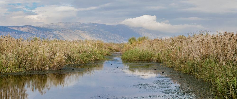Север Израиля