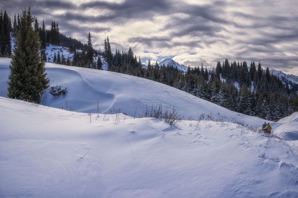Высокогорное плато Кок Жайляу