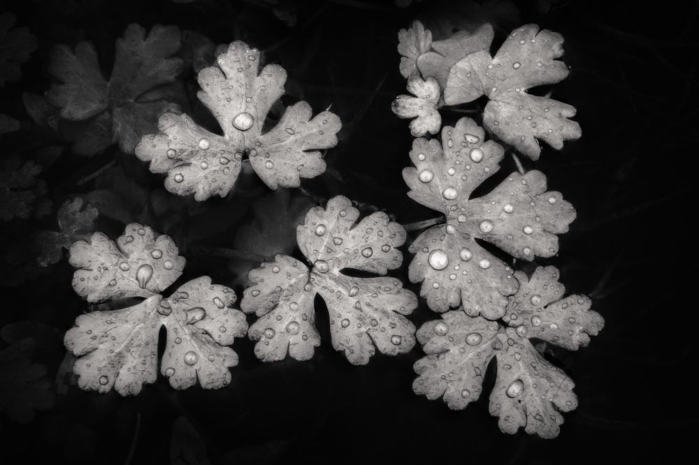 Photograph by Виталий Демус