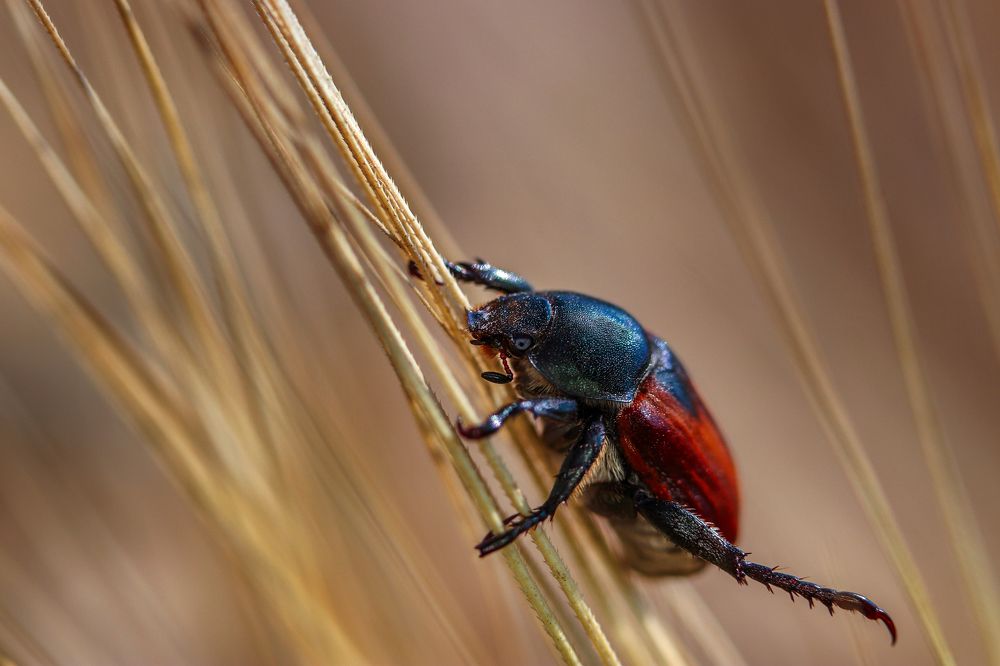 Photograph by Dolli Pogrebnaya