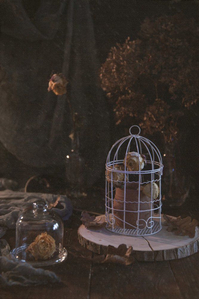 Photograph by Прокошева Екатерина