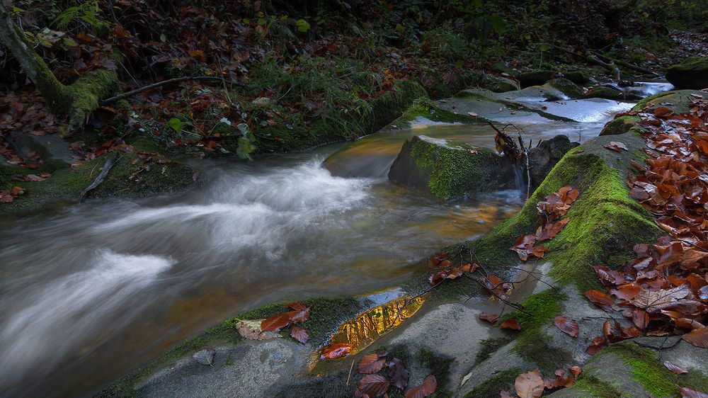 Photograph by Юрий Крилівець