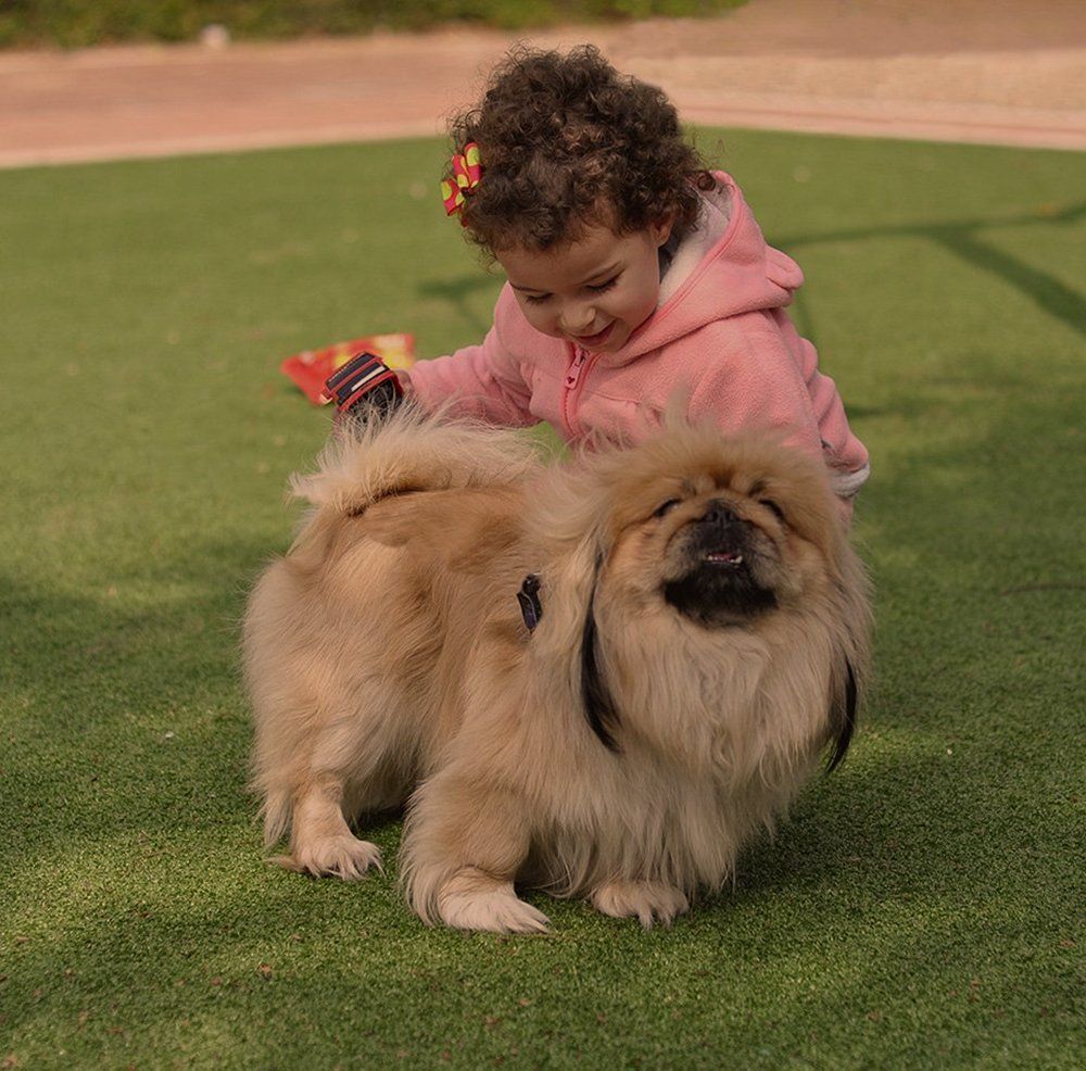 Photograph by Яков