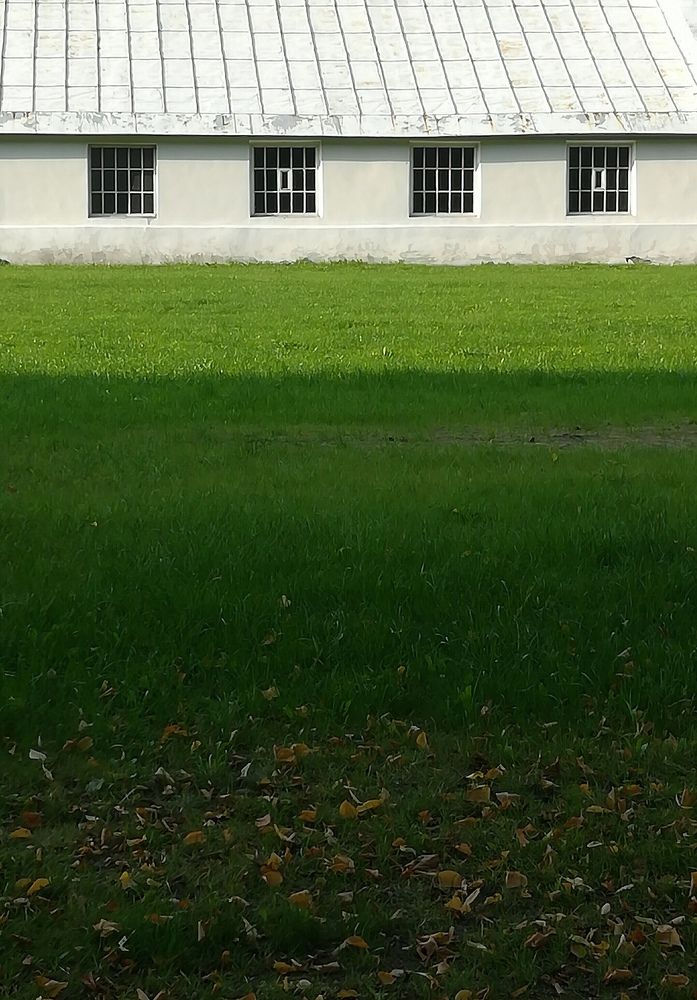 Белый, травянистый, зелёный