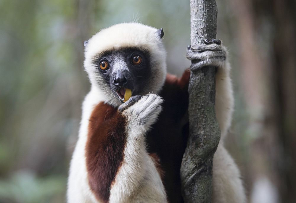 Я полностью спокоен