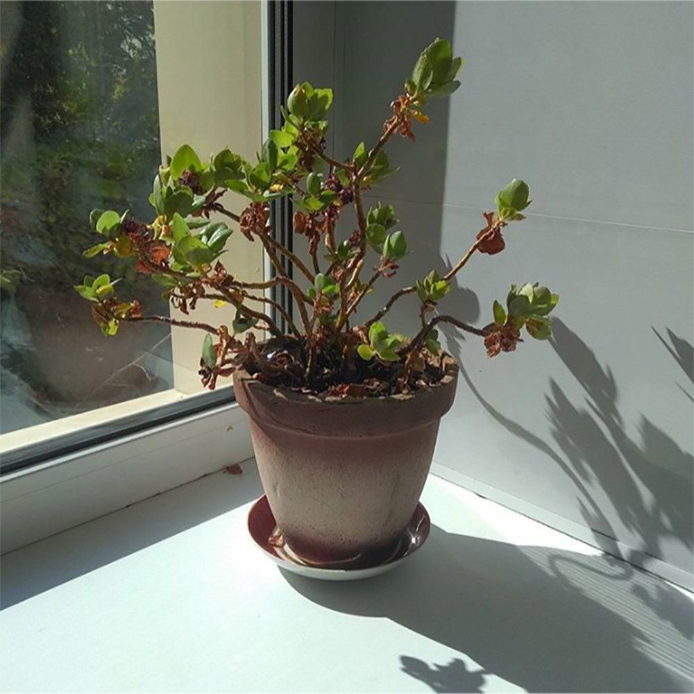 Photograph by Герасимова Дарья