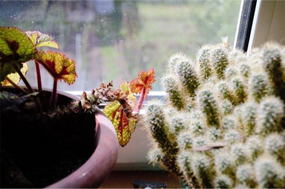 Photograph by Герасимова Дарья