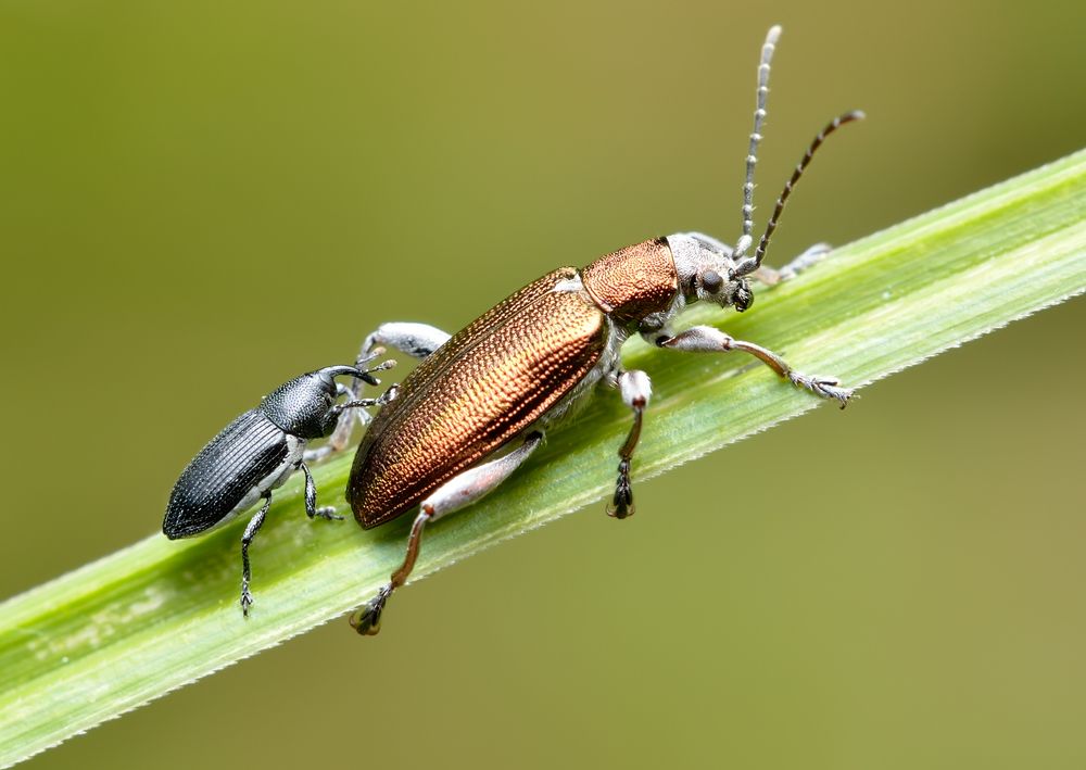 ЭТО СПАРТААА!!! (THIS IS SPARTAAA!!!)