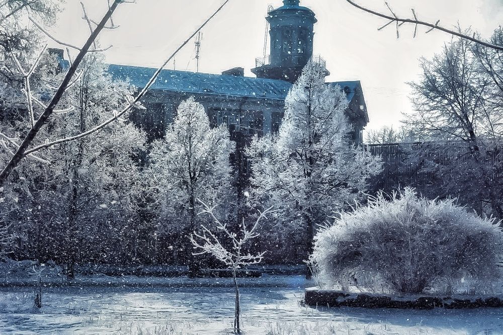 Волшебство зимы