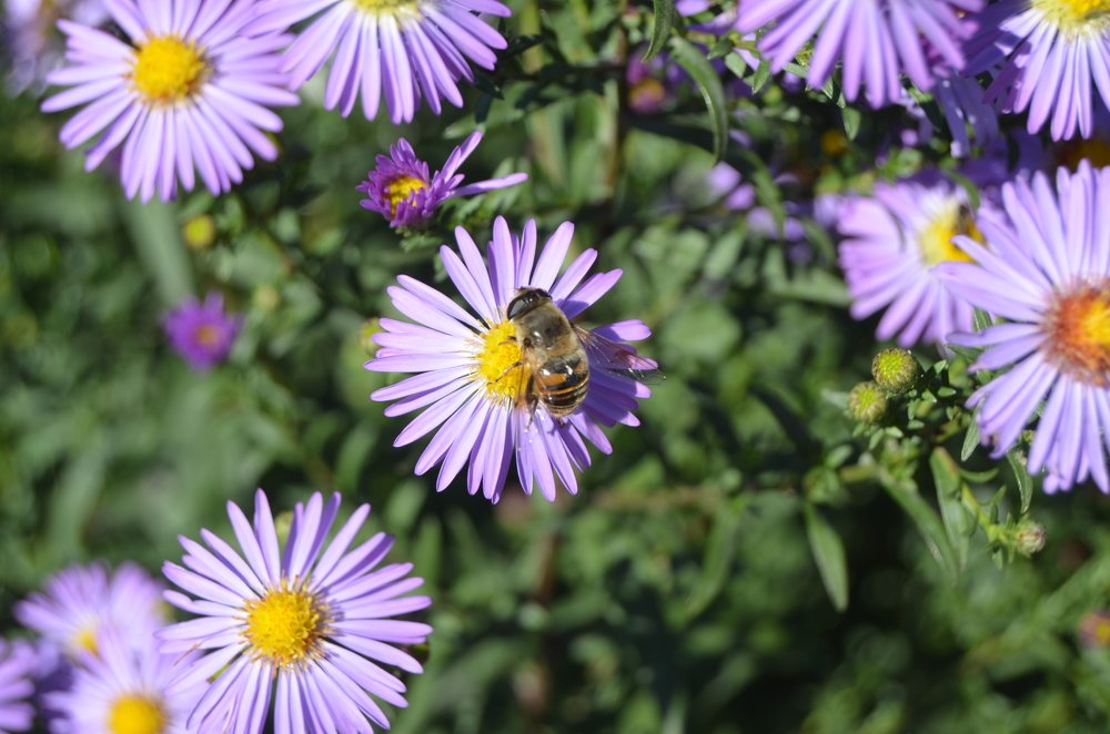 Photograph by Ольга Мокрова