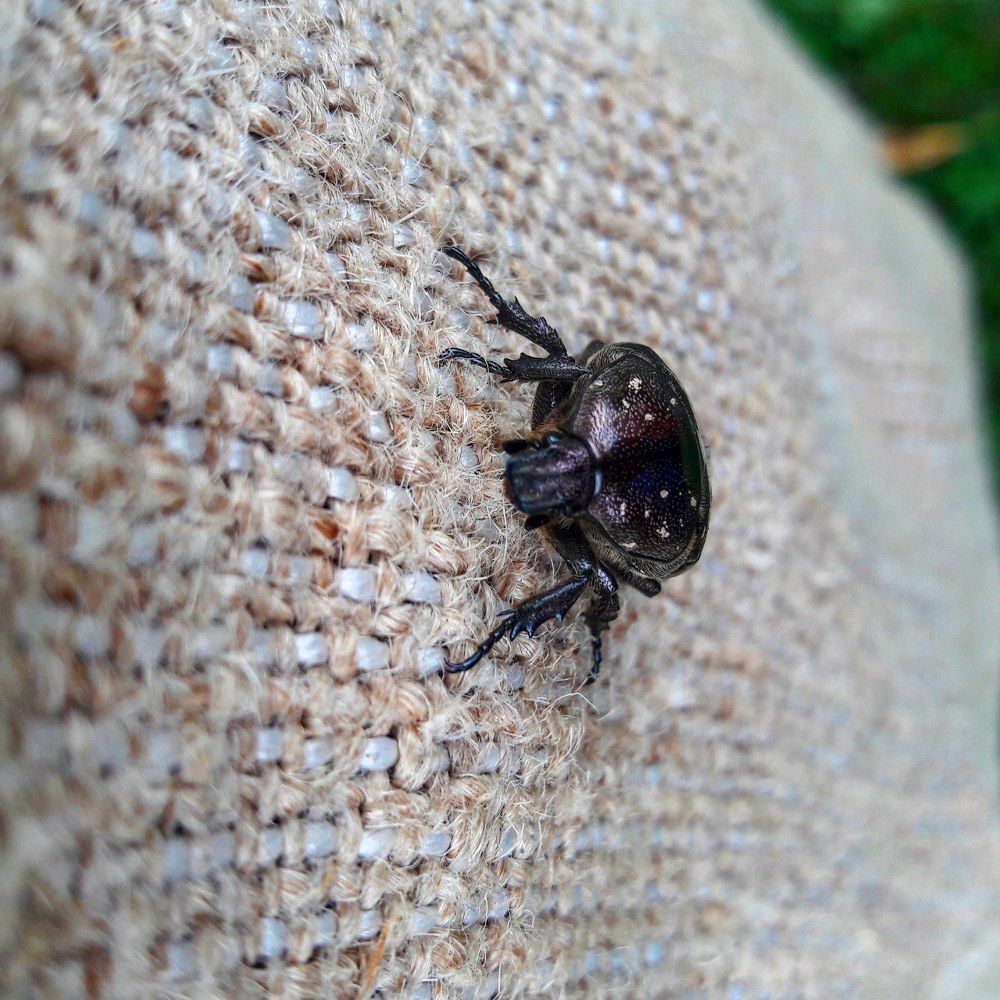 Восхождение к вершине