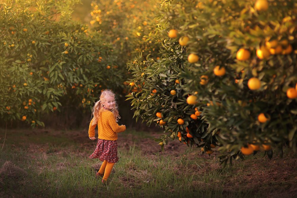 мандариновый рай