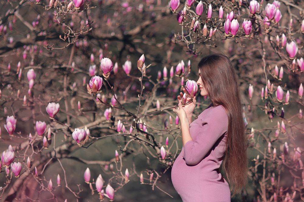 в краю магнолий