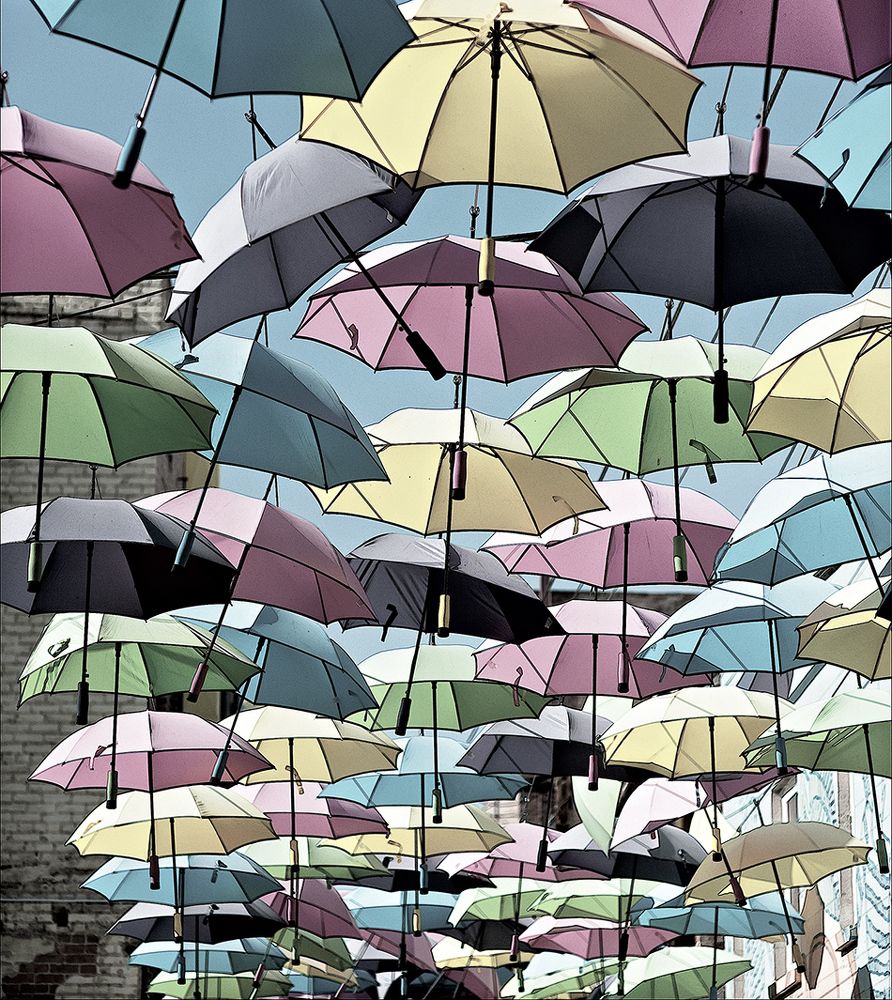 Under an Umbrella Sky