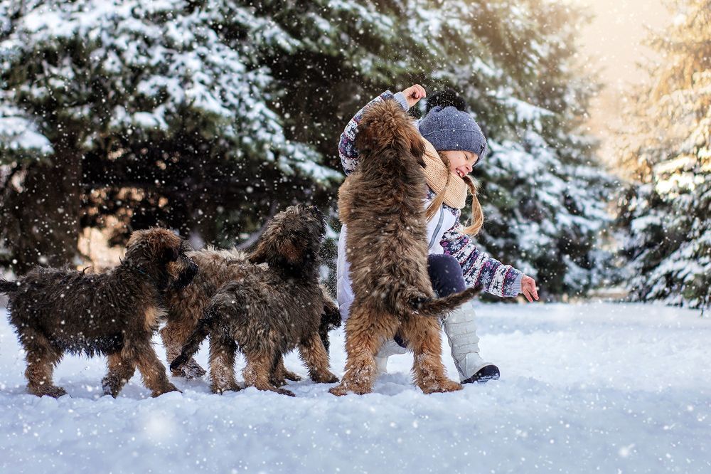 Новые друзья