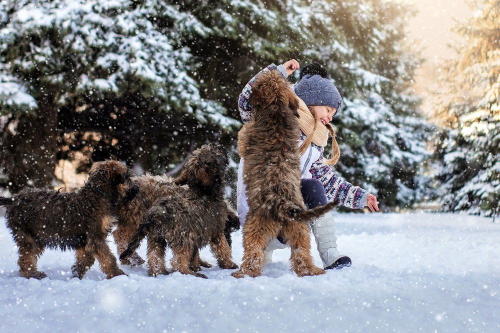 Новые друзья