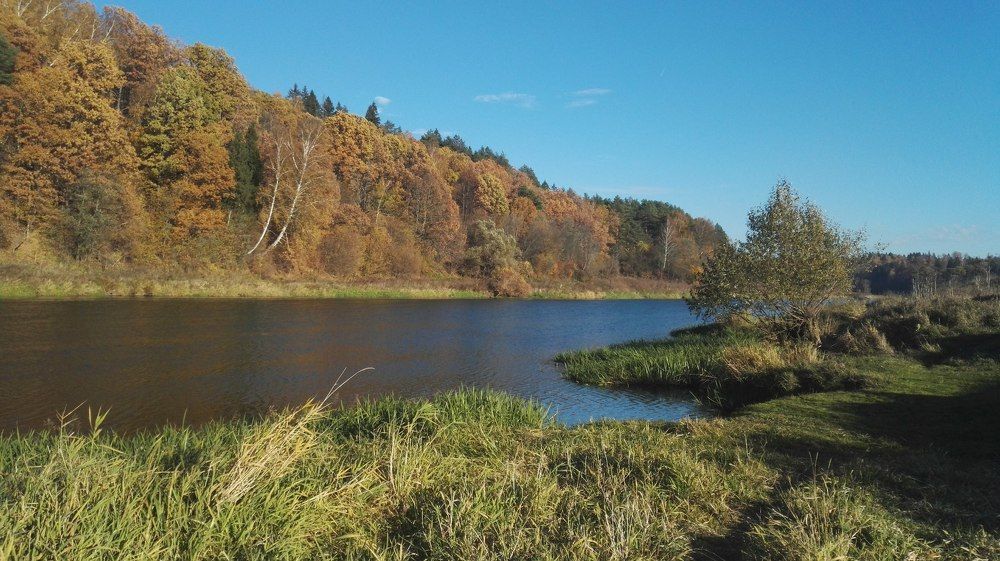 Осень у реки.