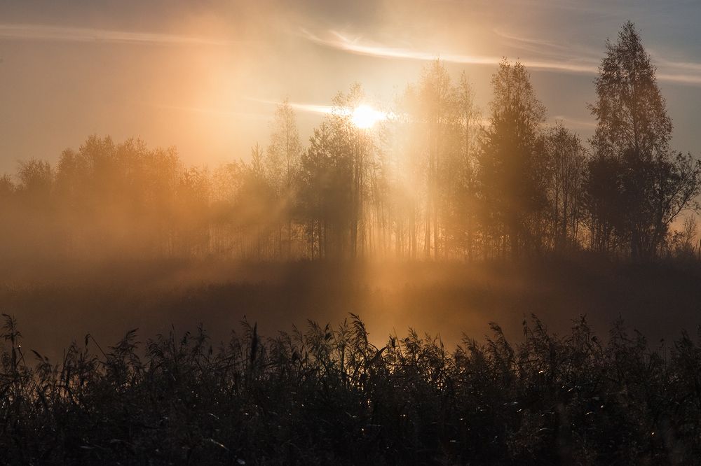 Ранним утром