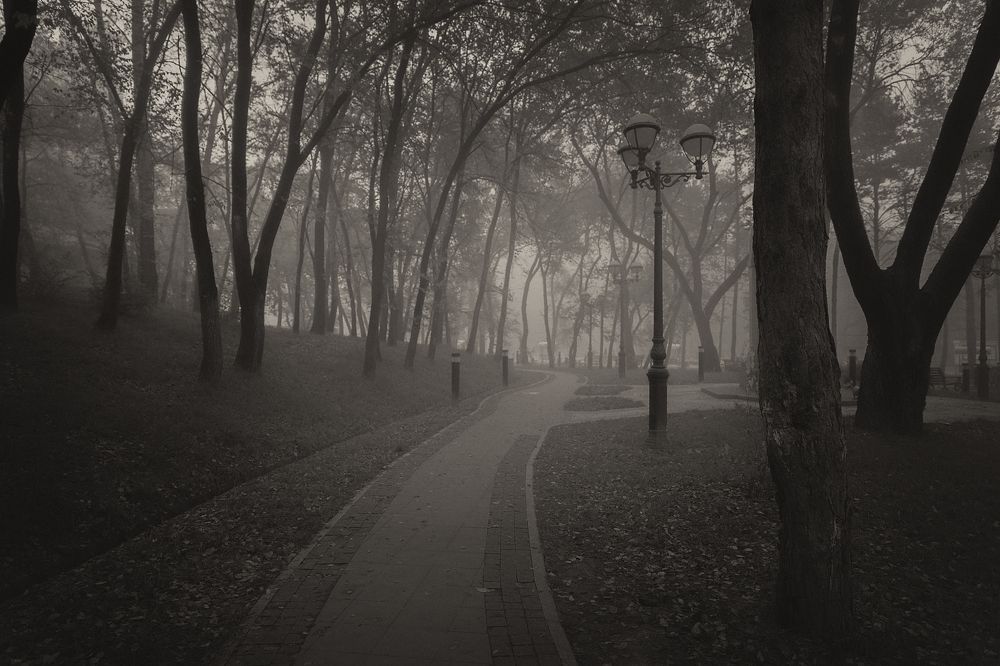 Утренняя прогулка