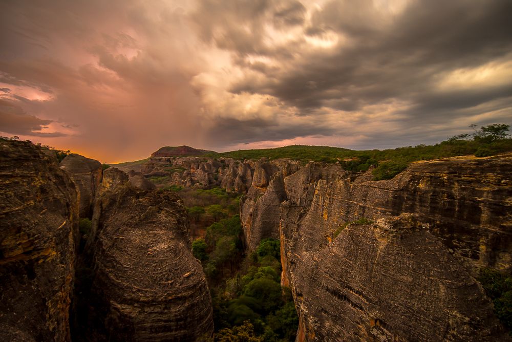 Serpentes da Caatinga Brasileira