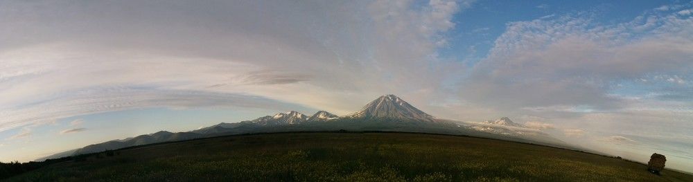 Ковчег/Ark
