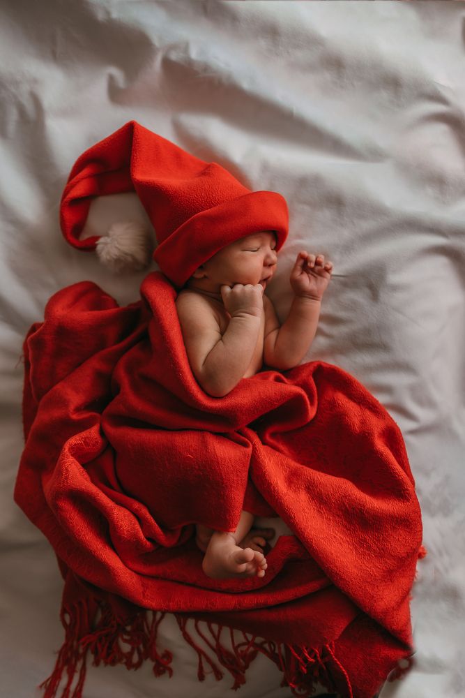 Фотография автора Дарья Шевченко