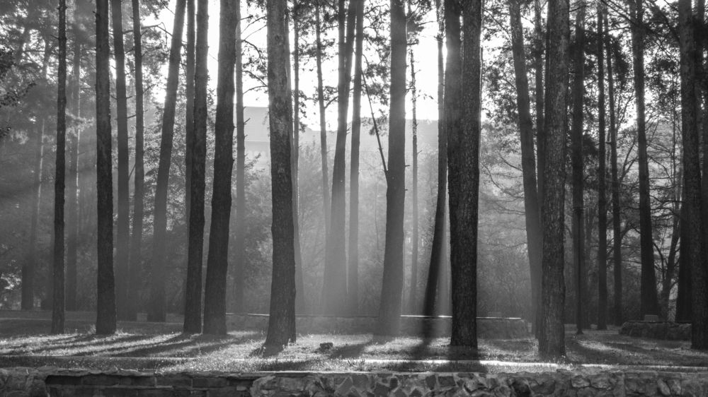 Глоток мистики