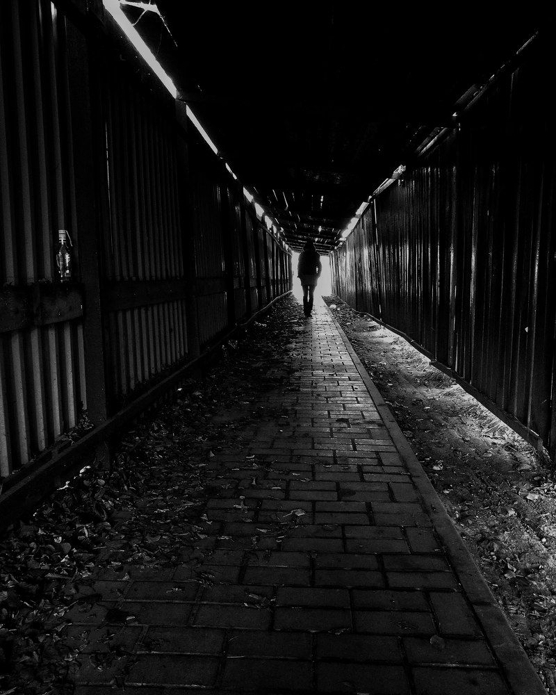 Шаг навстречу