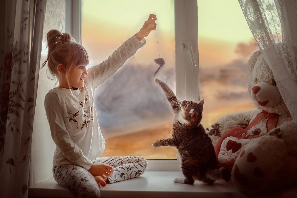 ПодоКОТник