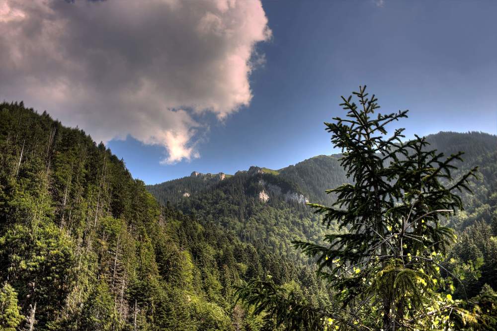 Piatra Mare