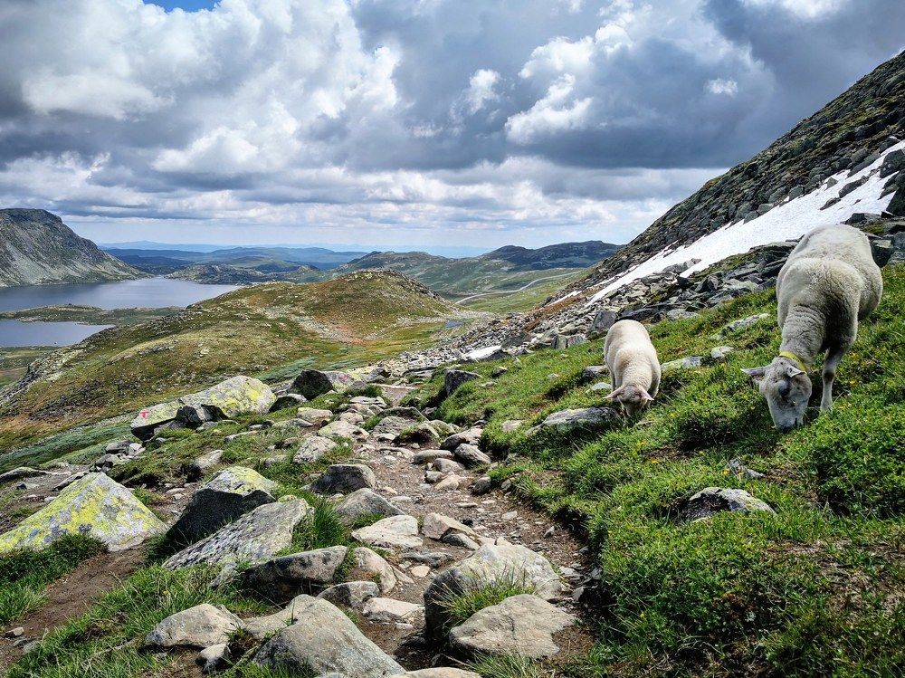 Горы Норвегии.