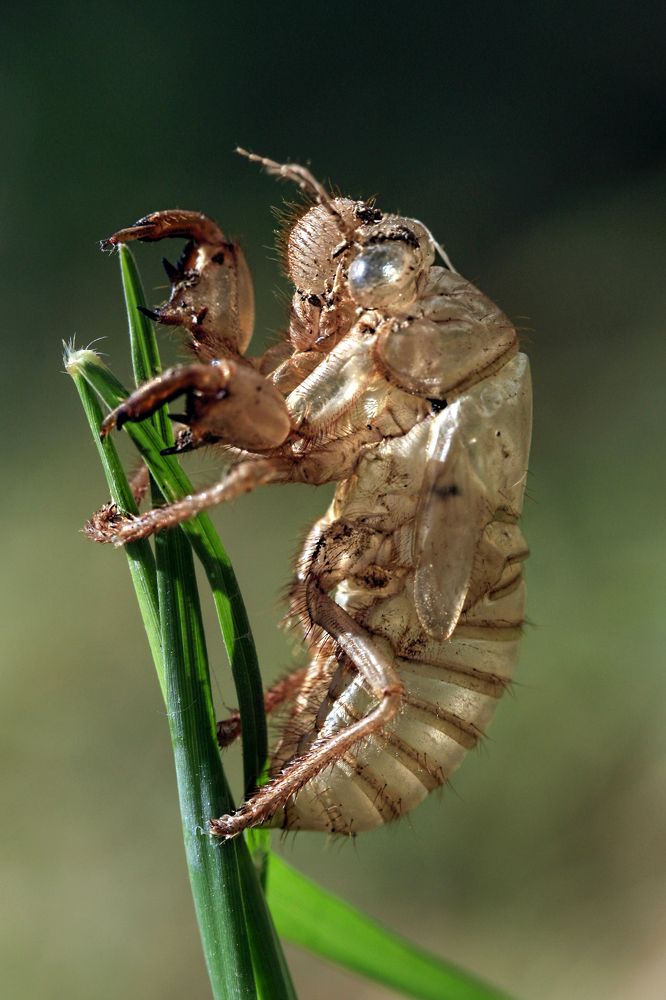 Photograph by Selma Kotancı