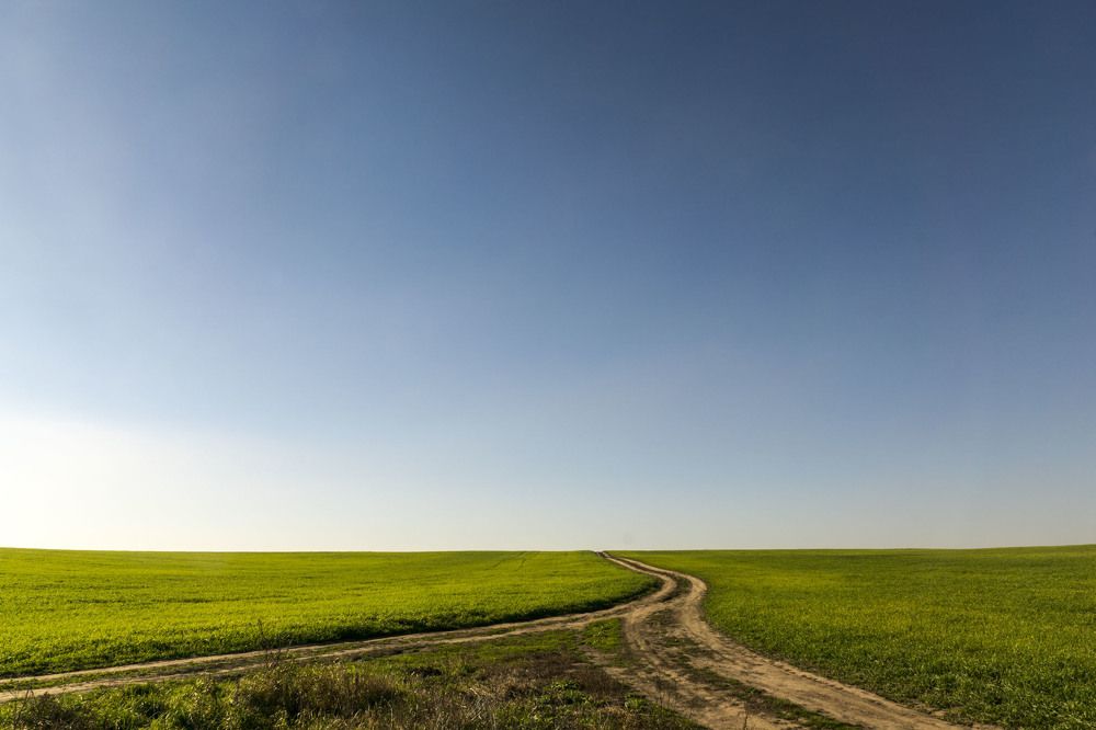 Photograph by Олесь