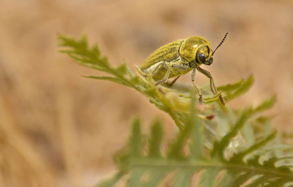 Photograph by Сергей Бережной