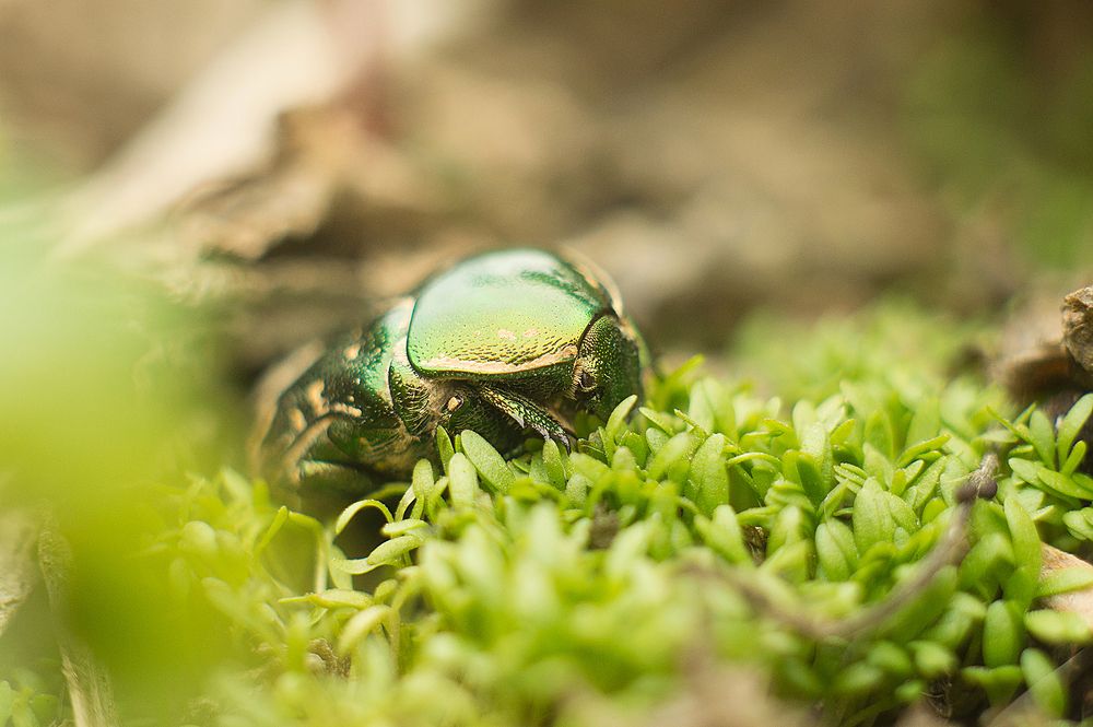 Photograph by Сергей Бережной