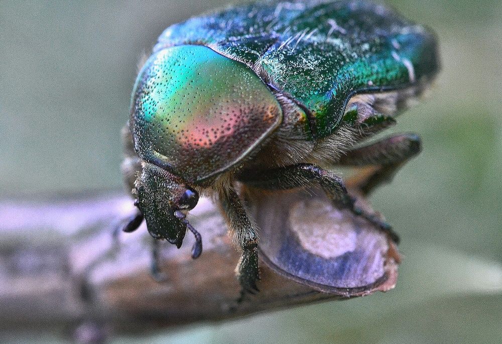 Photograph by Алексей Фомичев