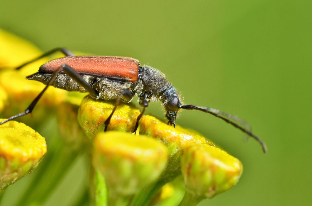 Photograph by Алексей Фомичев